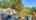 Blurred preview of media: IMG_9973