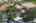 Blurred preview of media: iPixx_10_32