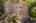 Blurred preview of media: Aerial 02