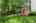 Blurred preview of media: Nerine_034