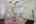 Blurred preview of media: 016