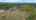 Blurred preview of media: DJI_0245