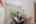 Blurred preview of media: 182 Windermere Way-35