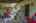 Blurred preview of media: IMG_9714
