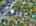 Blurred preview of media: DJI_20250903123508_0937_D_8_D_9_D_easyHDR