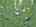 Blurred preview of media: DJI_20260702125117_0612_D_3_D_4_D_easyHDR