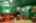 Blurred preview of media: 36