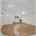 Blurred preview of media: DSC02550