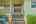 Blurred preview of media: Entry_