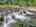 Blurred preview of media: DJI_20250802143618_0583_D_4_D_5_D_easyHDR
