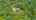 Blurred preview of media: DJI_0342-HDR