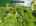Blurred preview of media: 2-726--2