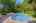 Blurred preview of media: Nerine_021