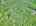 Blurred preview of media: DJI_20260527104842_0134_D_5_D_6_D_easyHDR