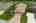 Blurred preview of media: iPixx_10_10