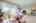 Blurred preview of media: 27-web-or-mls-iPixx_01_17