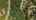 Blurred preview of media: dji_fly_20260908_113510_0617_1788889757566_aeb