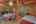 Blurred preview of media: IMG_4493_4_5