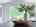 Blurred preview of media: IMG_8326 2