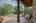 Blurred preview of media: 214SilentSpring-63
