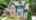Blurred preview of media: 20029 Callaway Hills Ln-9