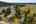 Blurred preview of media: 1-38