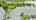 Blurred preview of media: DJI_0105