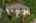 Blurred preview of media: Aerial 18