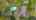 Blurred preview of media: DJI_0283