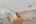 Blurred preview of media: DSC06786