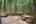 Blurred preview of media: PAX_2124
