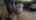Blurred preview of media: 4-La-Jolla-Ln-02232022_202307