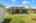 Blurred preview of media: IMG_9633