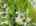 Blurred preview of media: 3-826-0777