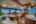 Blurred preview of media: Miss B Haven 37-3