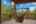 Blurred preview of media: 285 Silver Queen Drive, Breckenridge, CO 80424-Web-59