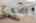 Blurred preview of media: 592 Sugar Road Bolton Massachusetts Job 38874 0043