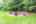 Blurred preview of media: 19625 Callaway Hills Ln-68