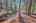 Blurred preview of media: IMG_9784_5_6_easyHDR