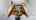 Blurred preview of media: Unknown media