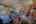 Blurred preview of media: IMG_4460_1_2