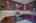 Blurred preview of media: 4376 (58 - 83)