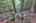 Blurred preview of media: IMG_4799_800_801_easyHDR