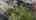 Blurred preview of media: 064
