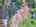 Blurred preview of media: DJI_20250603145703_0719_D_20_D_21_D_easyHDR
