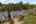 Blurred preview of media: 1-49