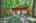 Blurred preview of media: IMG_0520_1_2_easyHDR