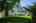 Blurred preview of media: 7