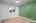 Blurred preview of media: DSC09272