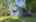 Blurred preview of media: IMG_5812